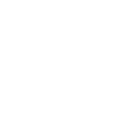Language